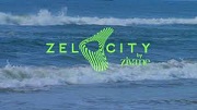 Zelocity Coupons