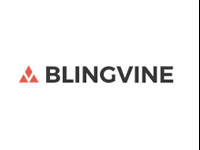 Blingvine Coupons