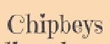 Chipbeys Coupons