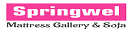 Springwel Coupons